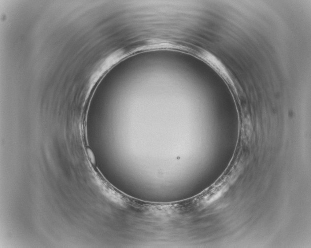 X0000057070813200510071431