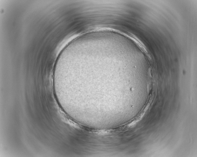 X0000057070814200510071431