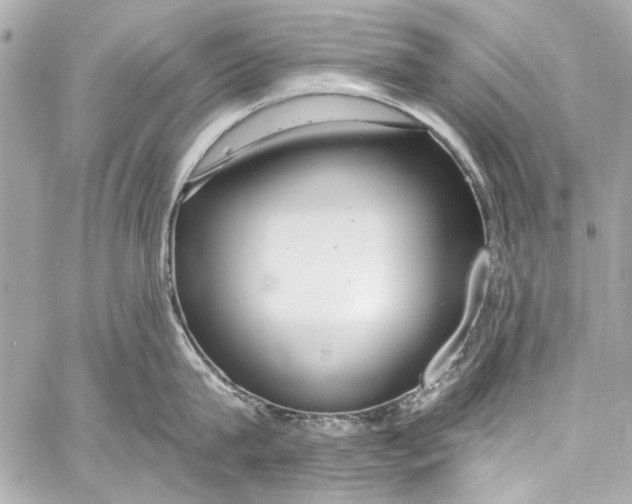 X0000057070815200510071431