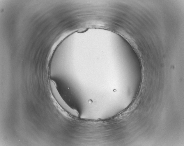 X0000057070816200510071431