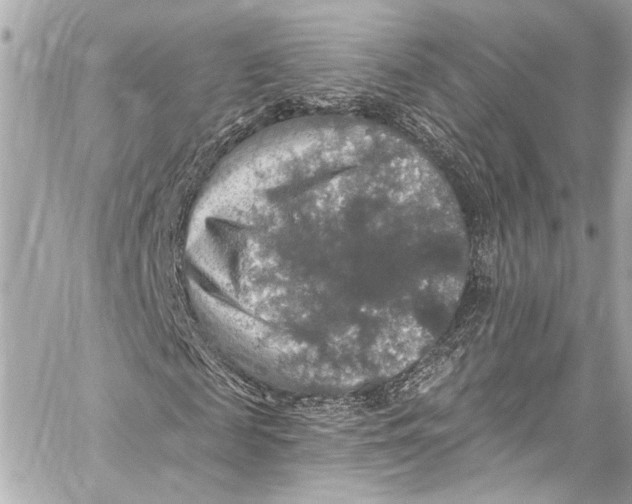 X0000057070817200510071430