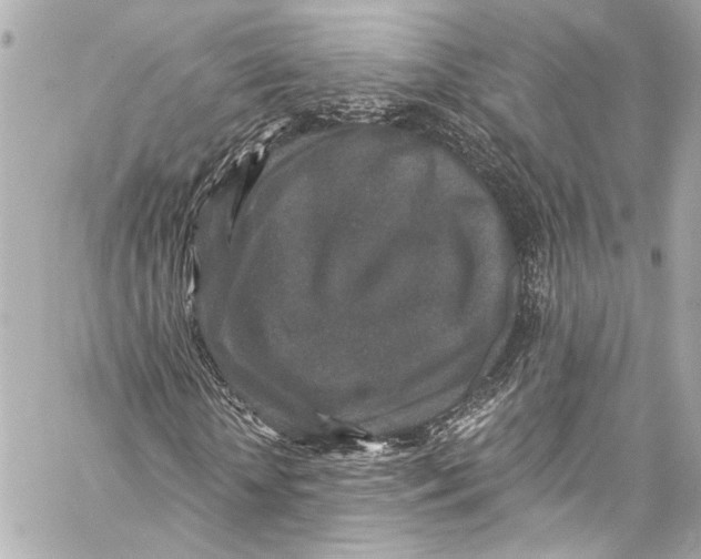 X0000057070818200510071430