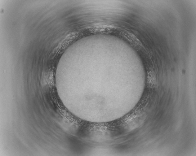 X0000057070820200510071430