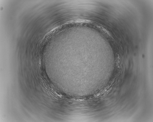 X0000057070821200510071430