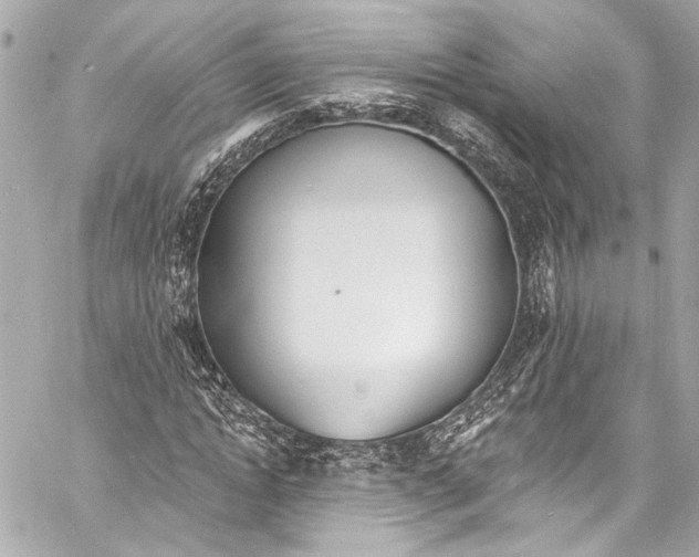 X0000057070822200510071430