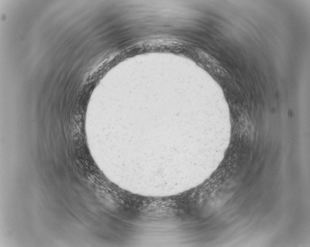 X0000057070824200510071430