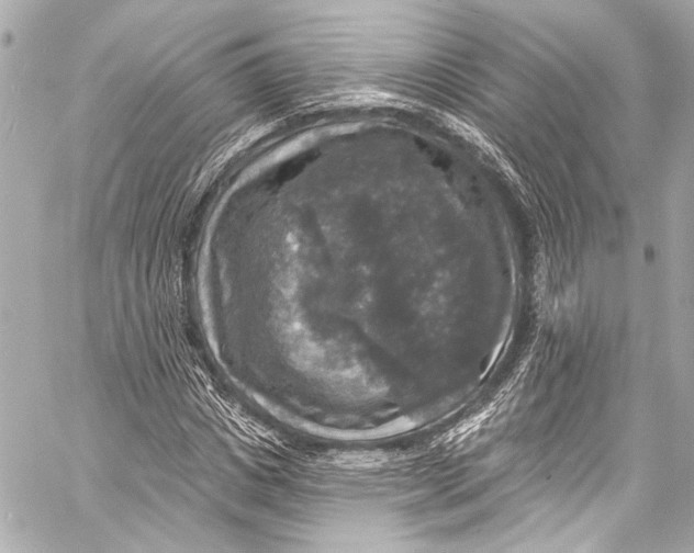 X0000057070825200510071430