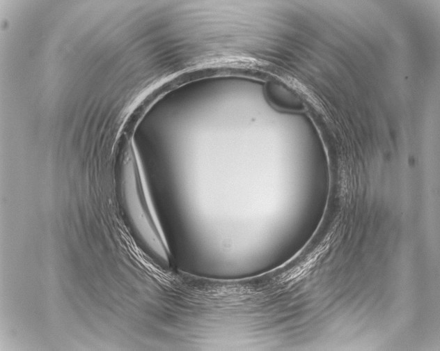 X0000057070830200510071430