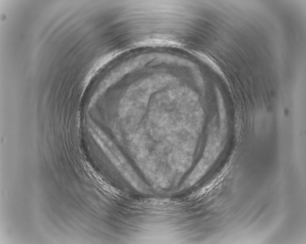 X0000057070831200510071430