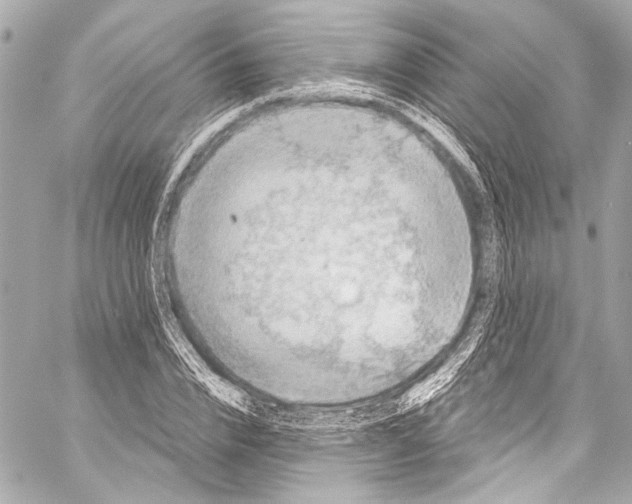 X0000057070832200510071430