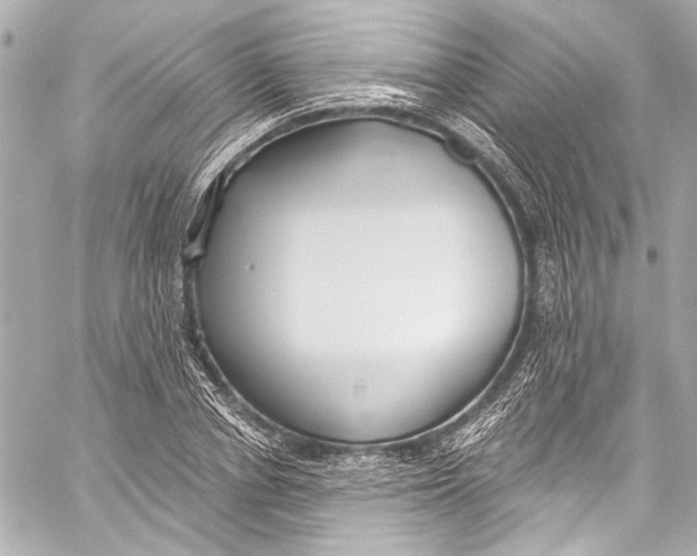 X0000057070834200510071430