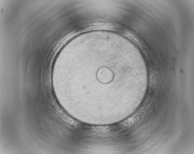 X0000057070836200510071430