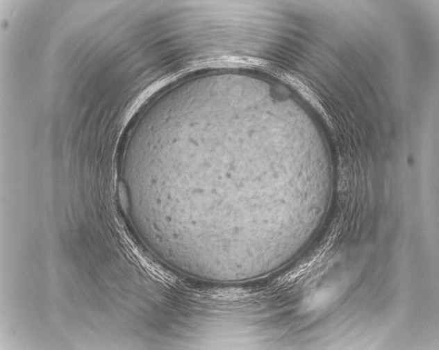 X0000057070837200510071430