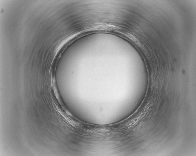 X0000057070838200510071430