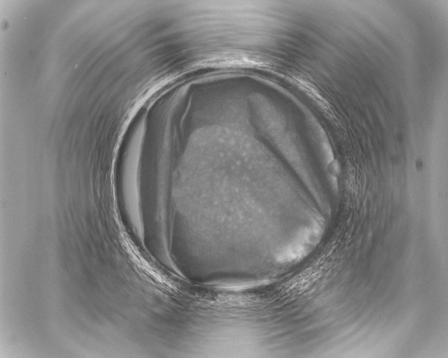 X0000057070840200510071430