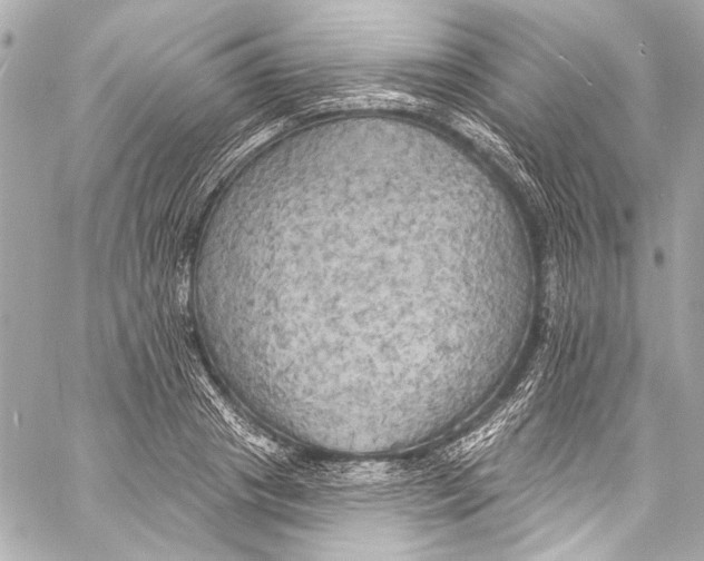 X0000057070841200510071430