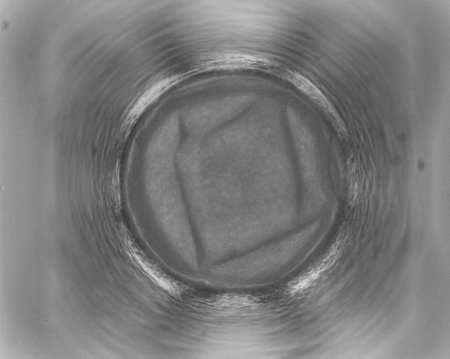 X0000057070842200510071430