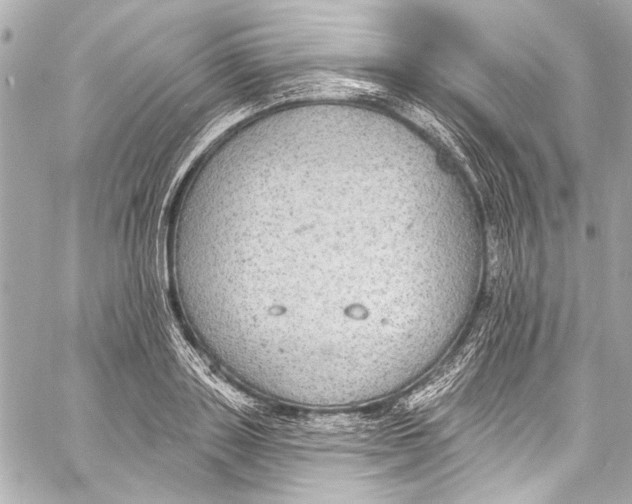 X0000057070843200510071430