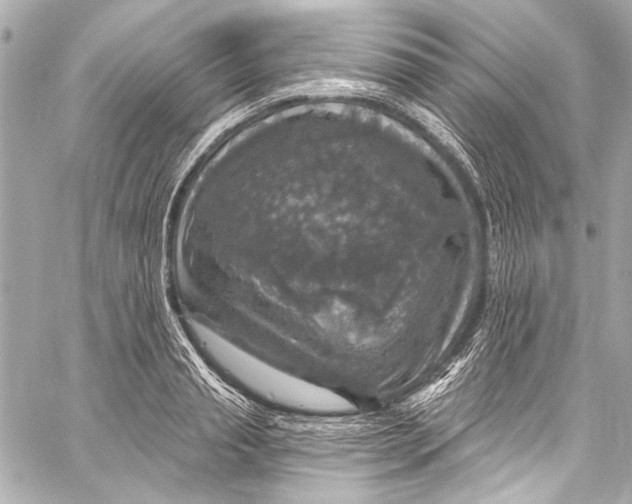 X0000057070845200510071430