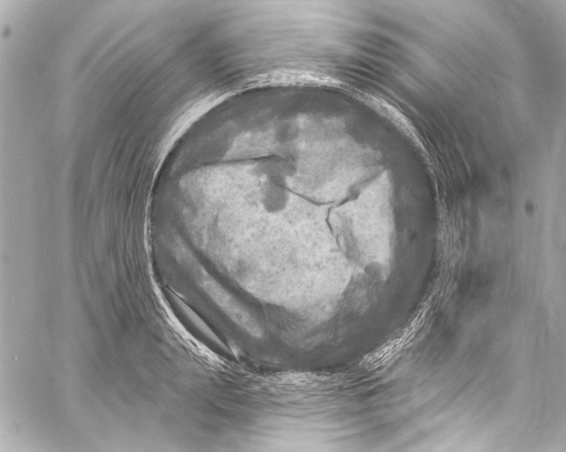 X0000057070847200510071430