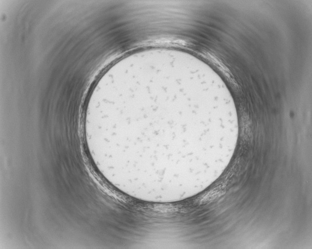 X0000057070848200510071430