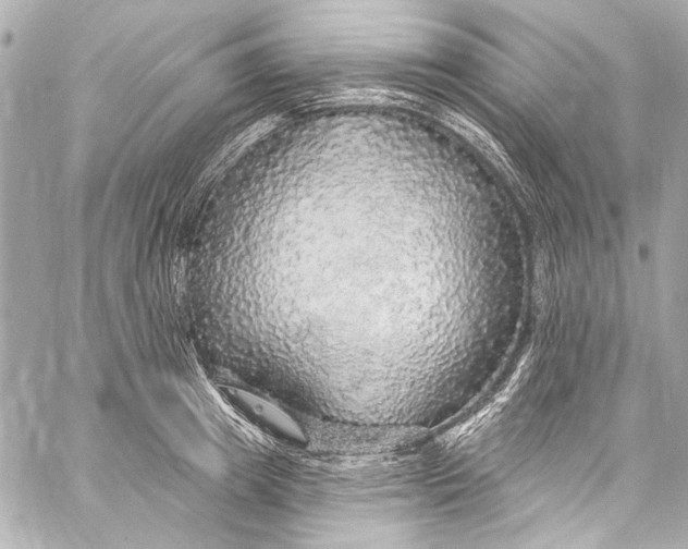 X0000057070849200510071430