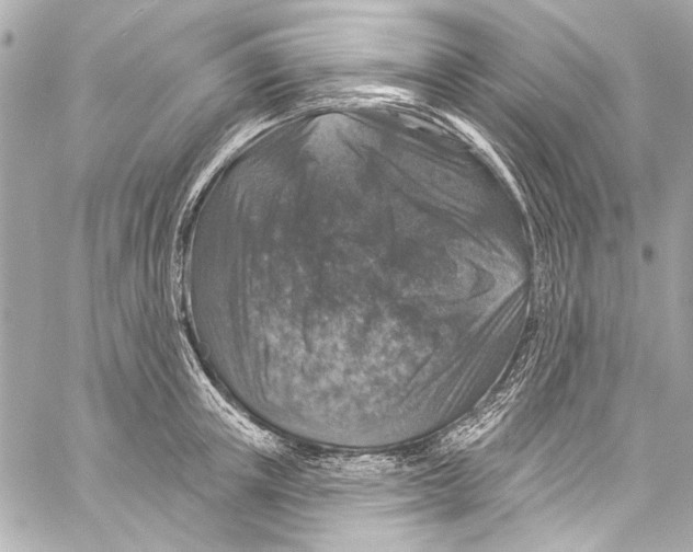 X0000057070851200510071430