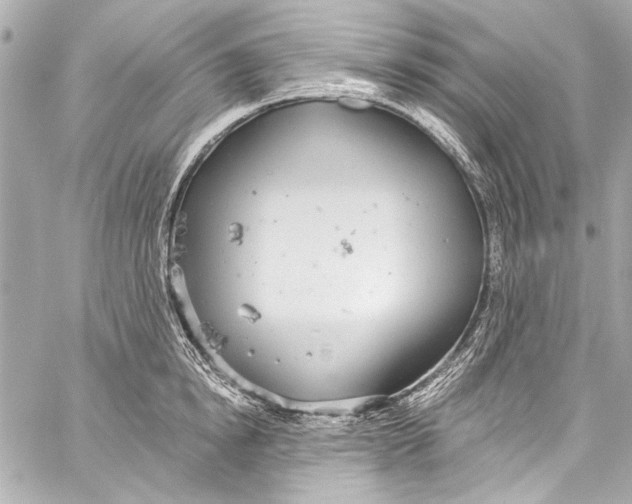 X0000057070854200510071430