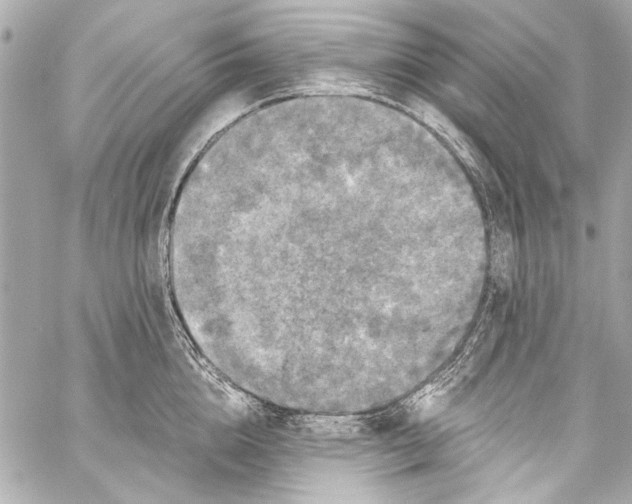 X0000057070856200510071430