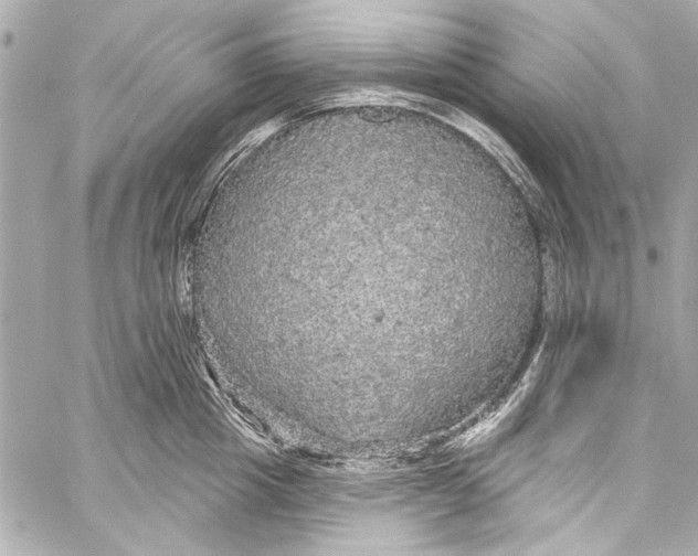 X0000057070857200510071430