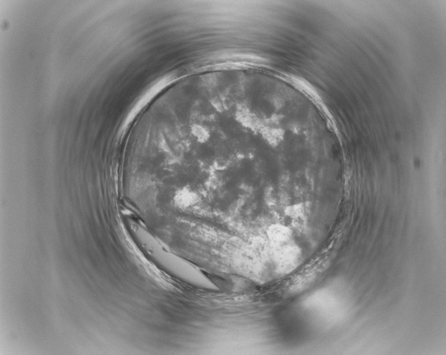 X0000057070859200510071431