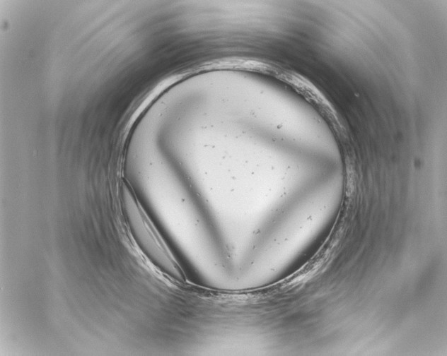 X0000057070860200510071431