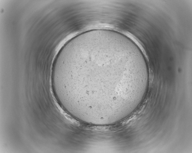 X0000057070861200510071431