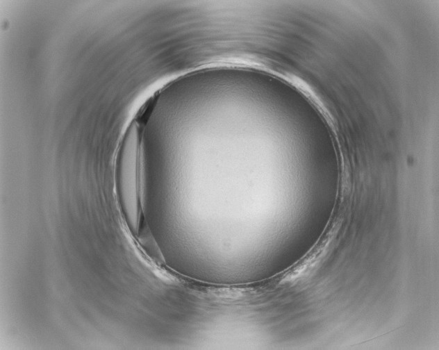 X0000057070862200510071431