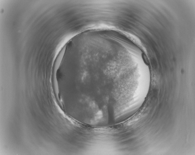 X0000057070863200510071431