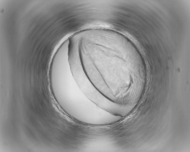 X0000057070864200510071431