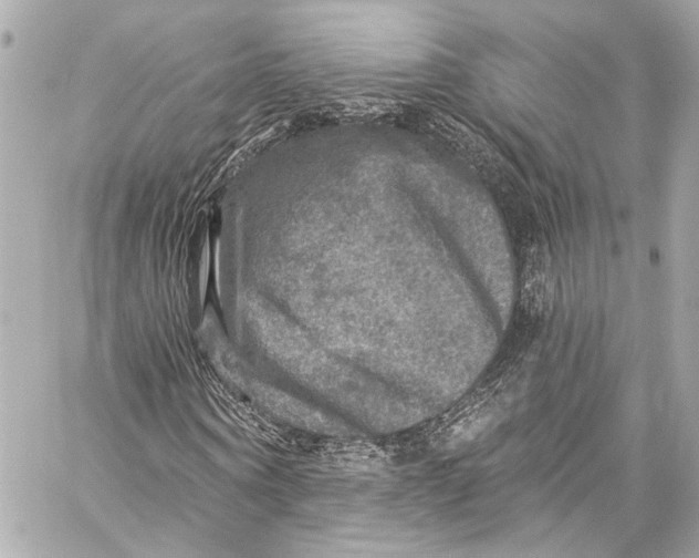 X0000057070866200510071430