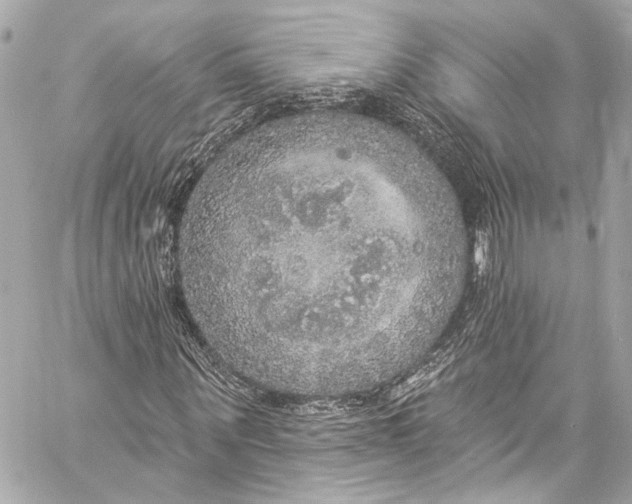 X0000057070867200510071430