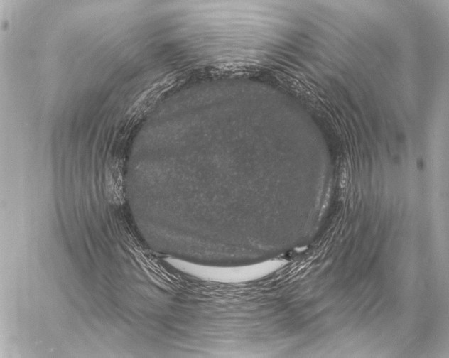 X0000057070868200510071430