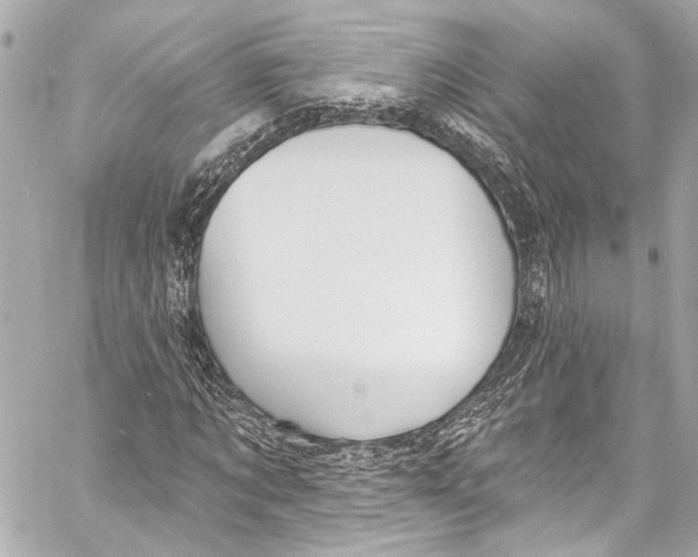 X0000057070869200510071430