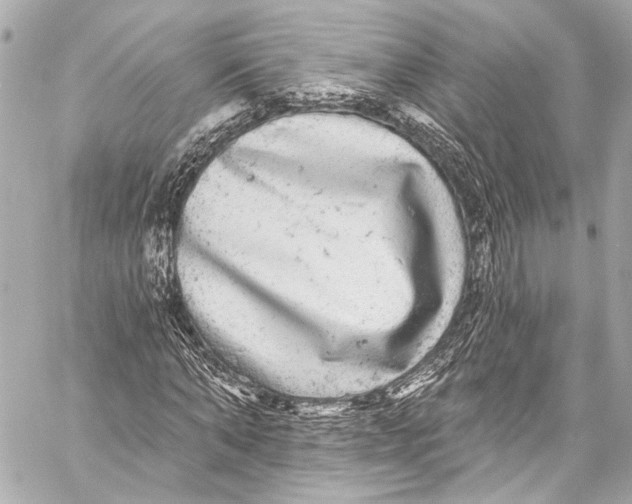 X0000057070870200510071430