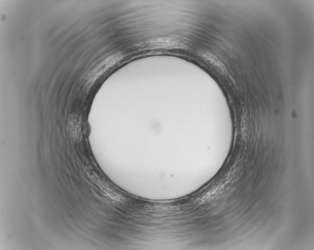 X0000057070873200510071430