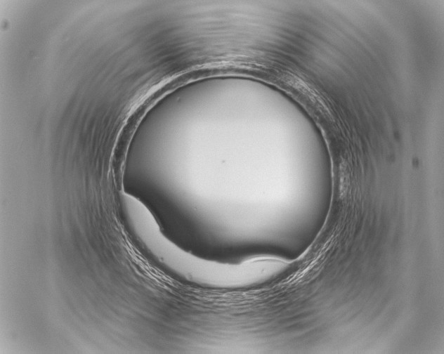 X0000057070876200510071430