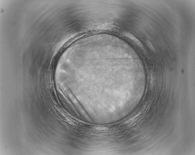 X0000057070878200510071430