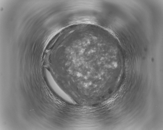 X0000057070879200510071430