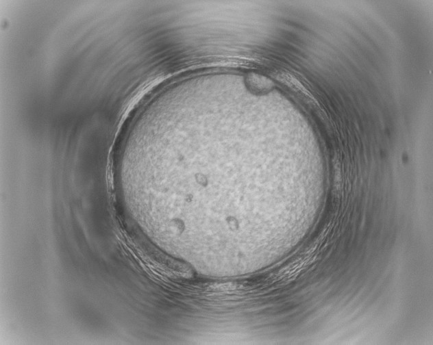 X0000057070883200510071430