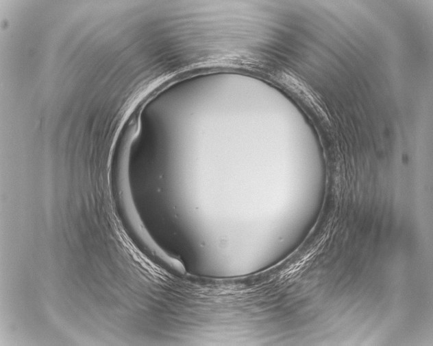 X0000057070884200510071429