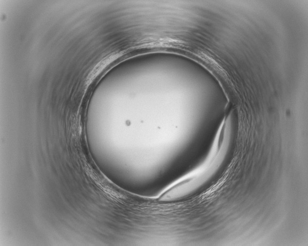 X0000057070885200510071429