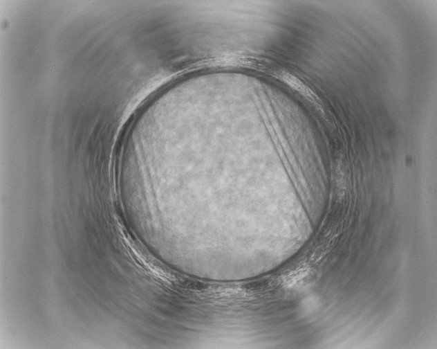 X0000057070886200510071429