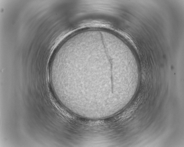 X0000057070887200510071429